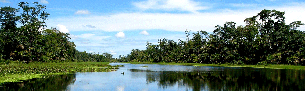 Tortuguero Nationalpark
